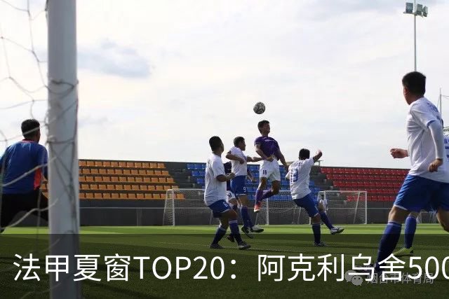 法甲夏窗TOP20：阿克利乌舍5000万欧成标王，费兰4850万欧第二